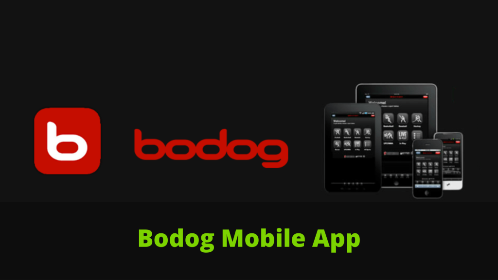Bodog sports app